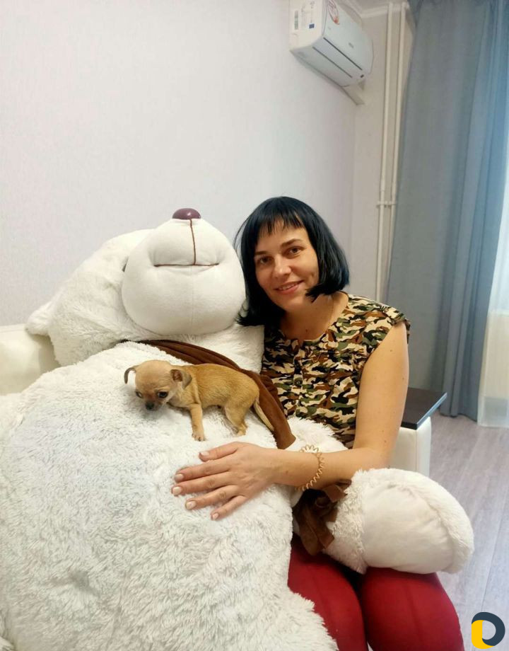 Уборка квартир,домов. Мойка окон