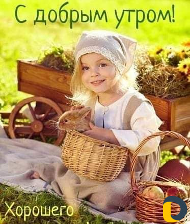 Уборка квартир и домов