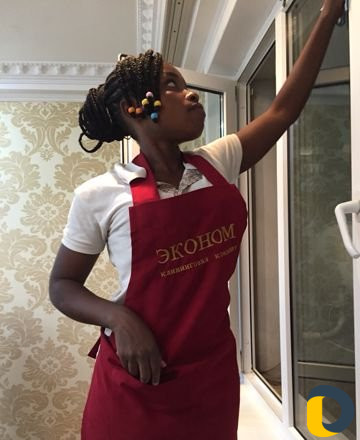 Уборка немецким парогенератором