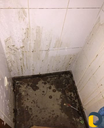 Уборка немецким парогенератором