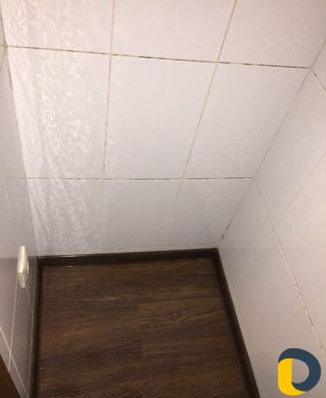 Уборка немецким парогенератором