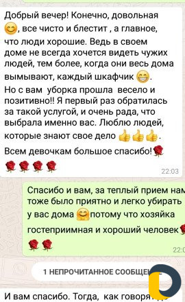 Уборка пароочистителем