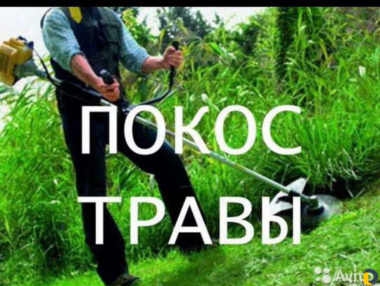 Уборка участка,спил деревьев,косим траву