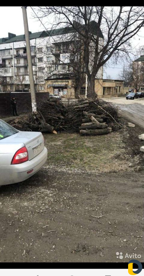 Уборка участка,спил деревьев,косим траву