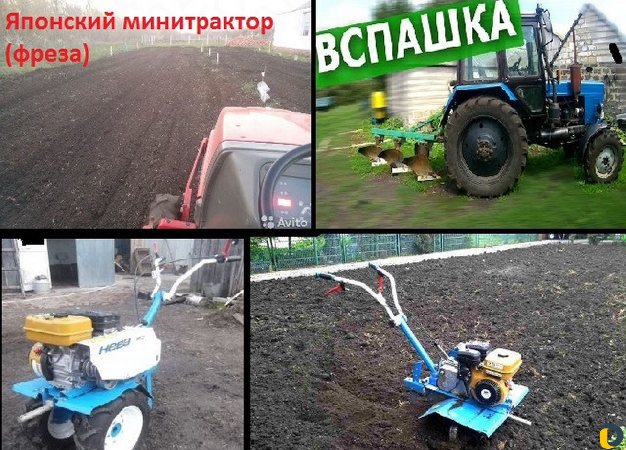 Уборка участков, Спил деревьев. Корчевка пней