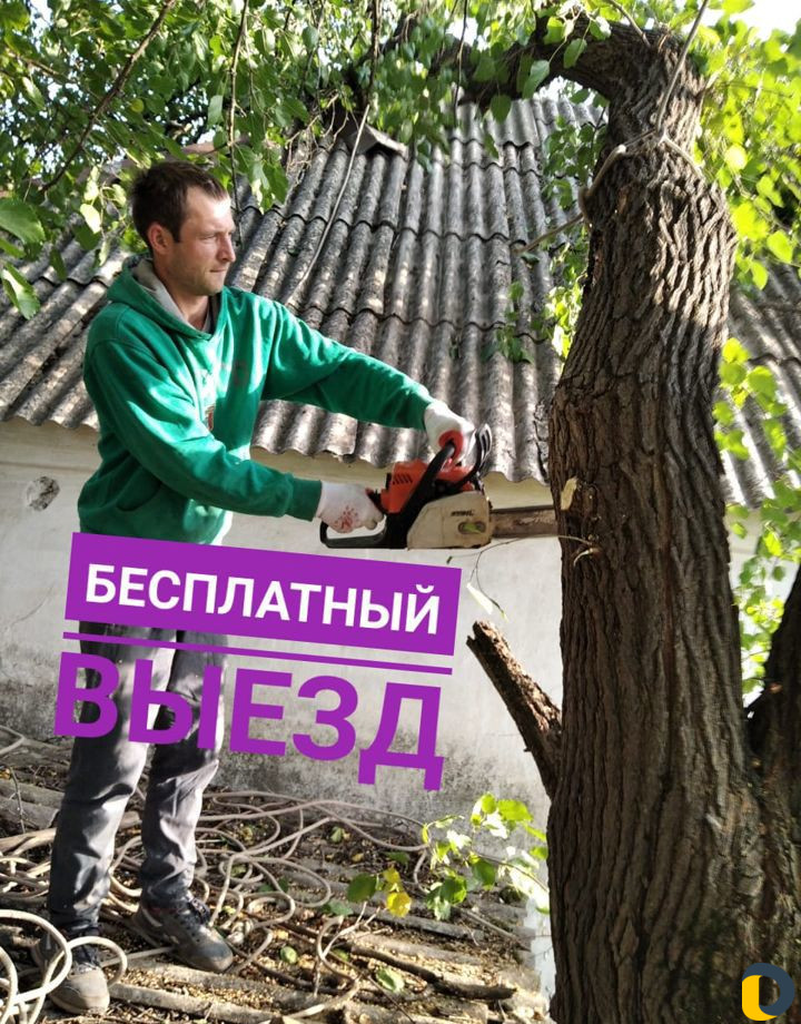 Удаление деревьев (спил)