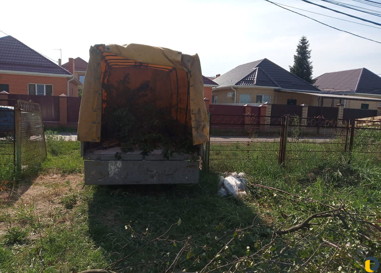 Удаление деревьев (спил)