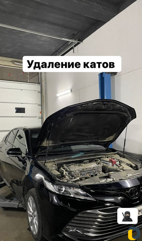 Удаление катализатора +прошивка +доплата