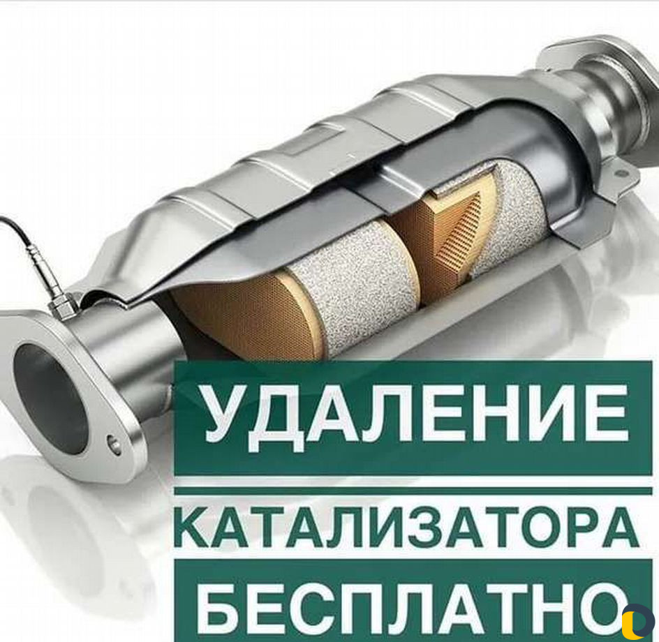 Удаление катализаторов и сажевых фильтров(сто)