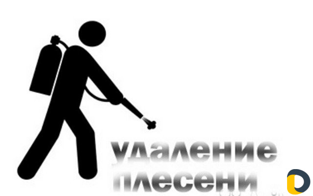 Удаление плесени, антибактериальная обработка