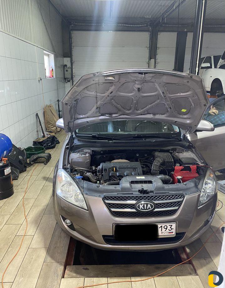 Удалить катализатор бесплатно