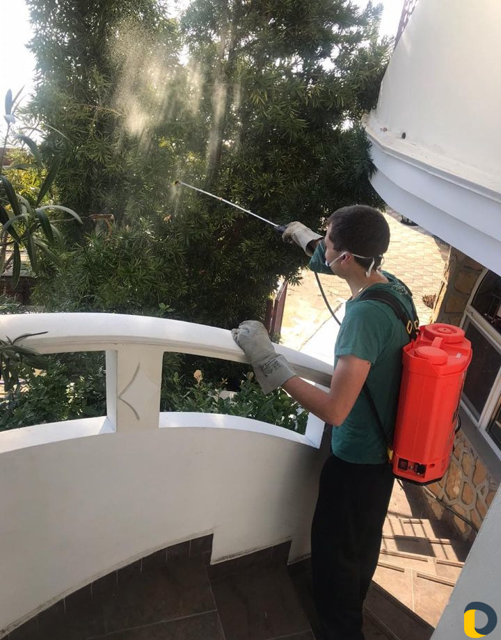 Уход за растениями, арборист, специалист по растен