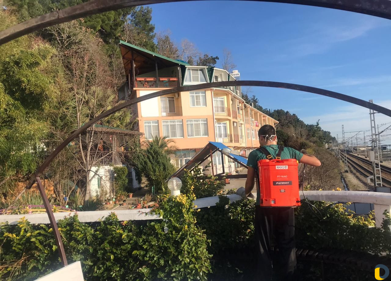 Уход за растениями, арборист, специалист по растен