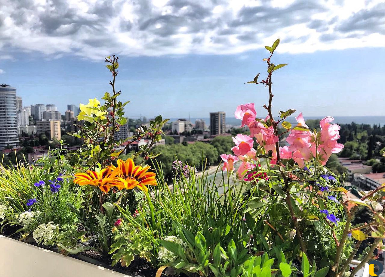 Уход за растениями, арборист, специалист по растен