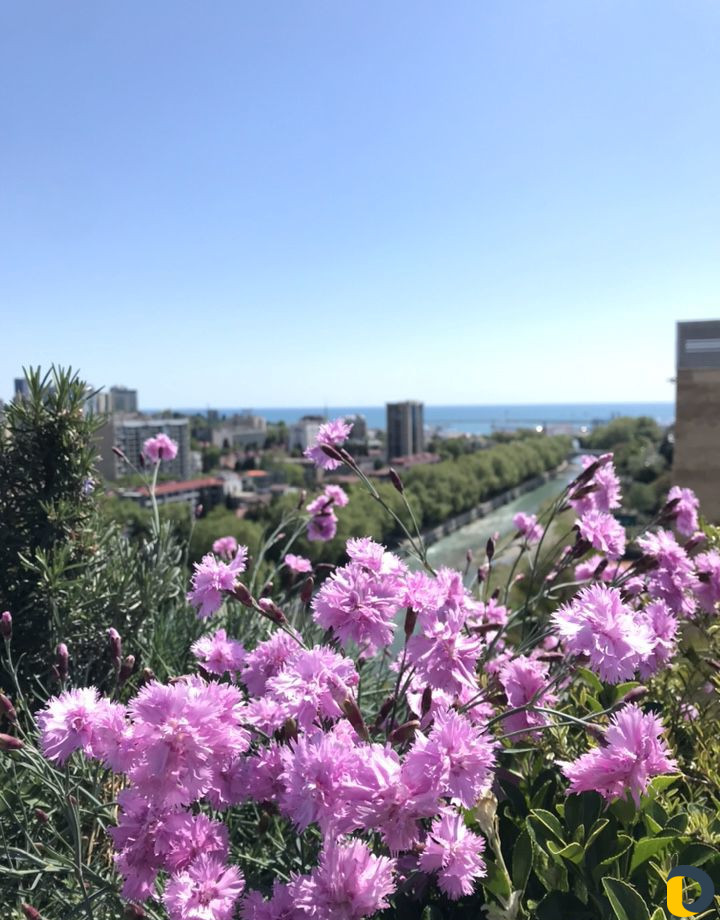 Уход за растениями, арборист, специалист по растен