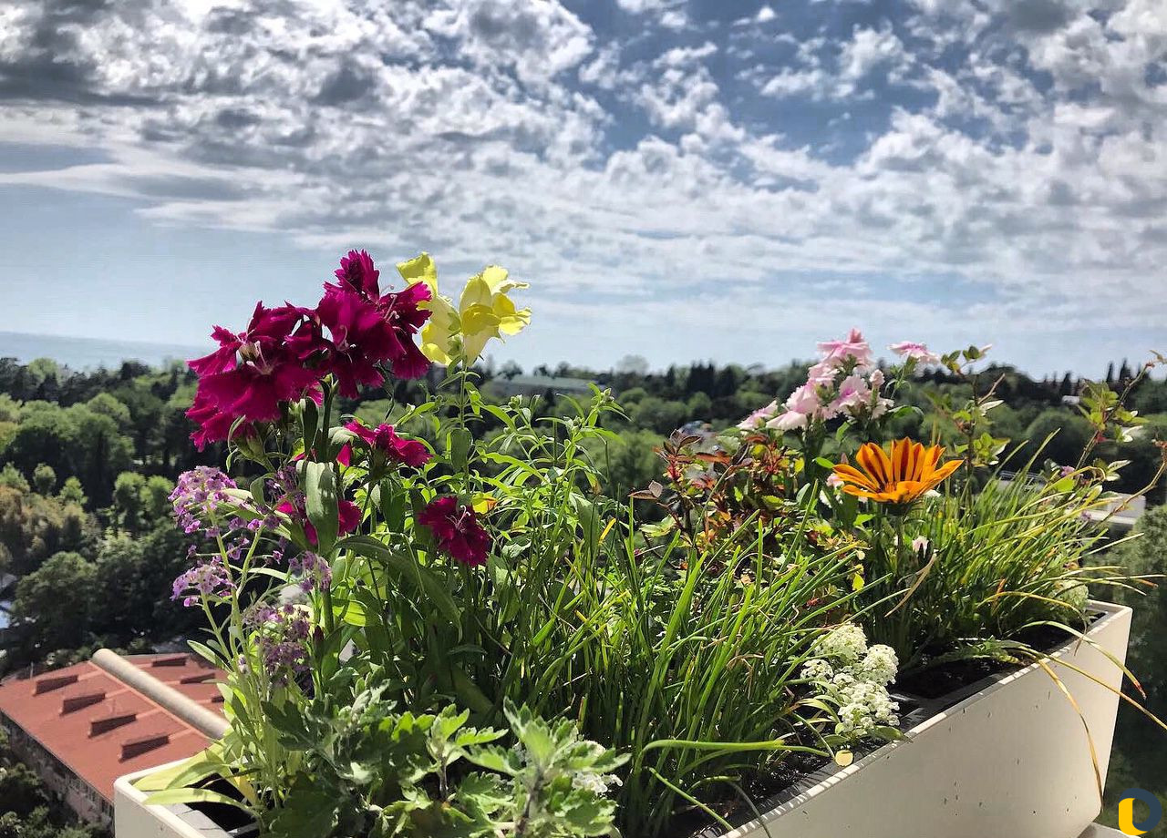 Уход за растениями, арборист, специалист по растен