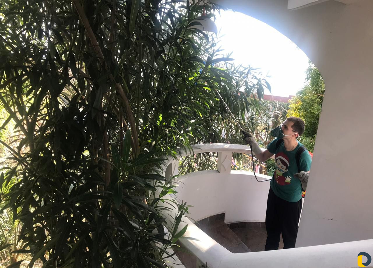 Уход за растениями, арборист, специалист по растен