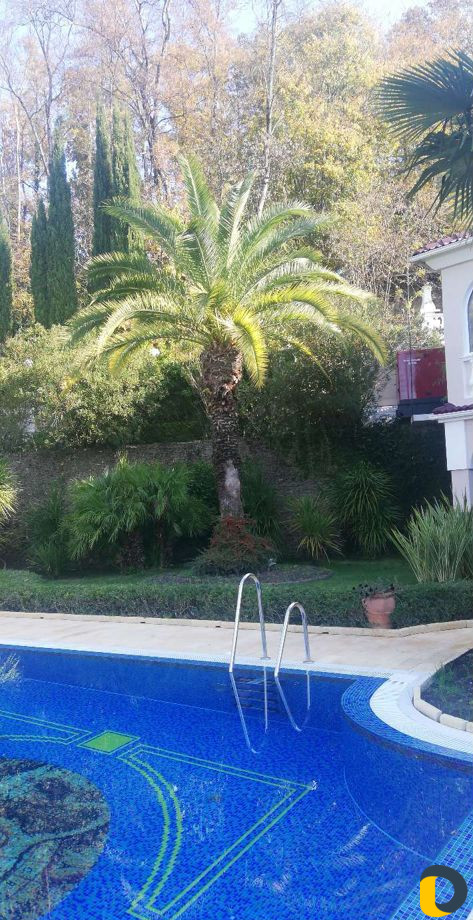 Уход за садом