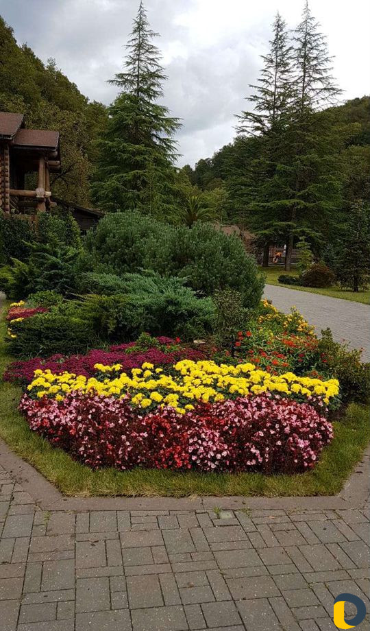 Уход за садом