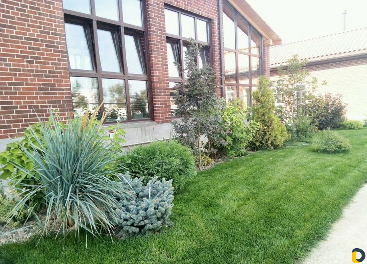 Укладка рулонного газона