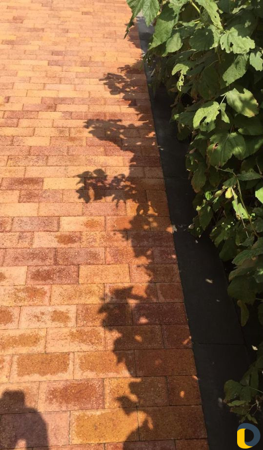 Укладка тротуарной плитки под ключ