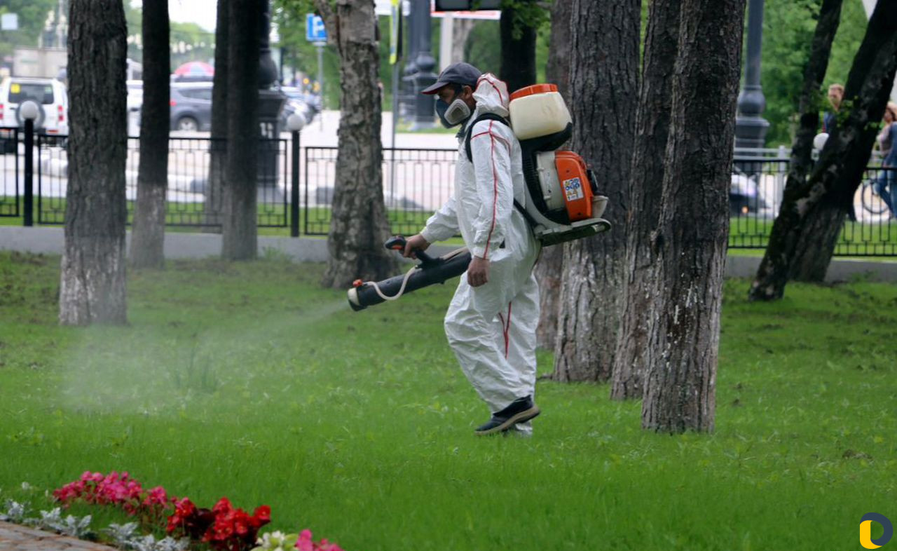 Уничтожение клещей, кротов, короеда, борщевика, ос