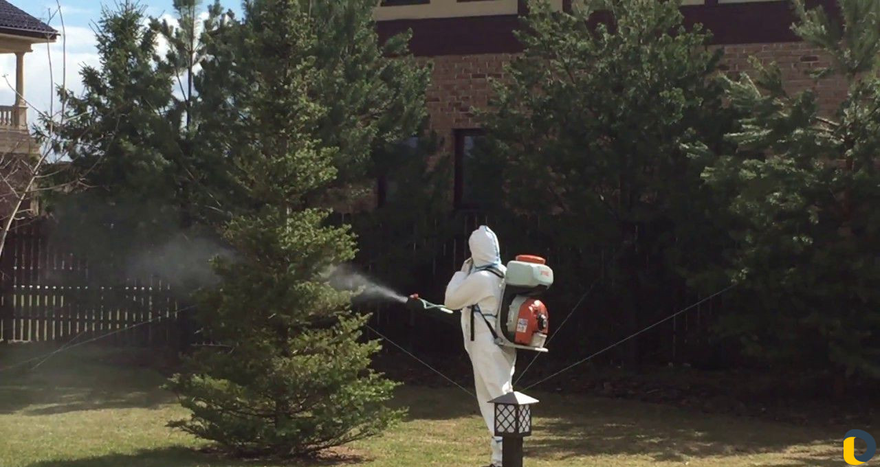 Уничтожение клещей, кротов, короеда, борщевика, ос