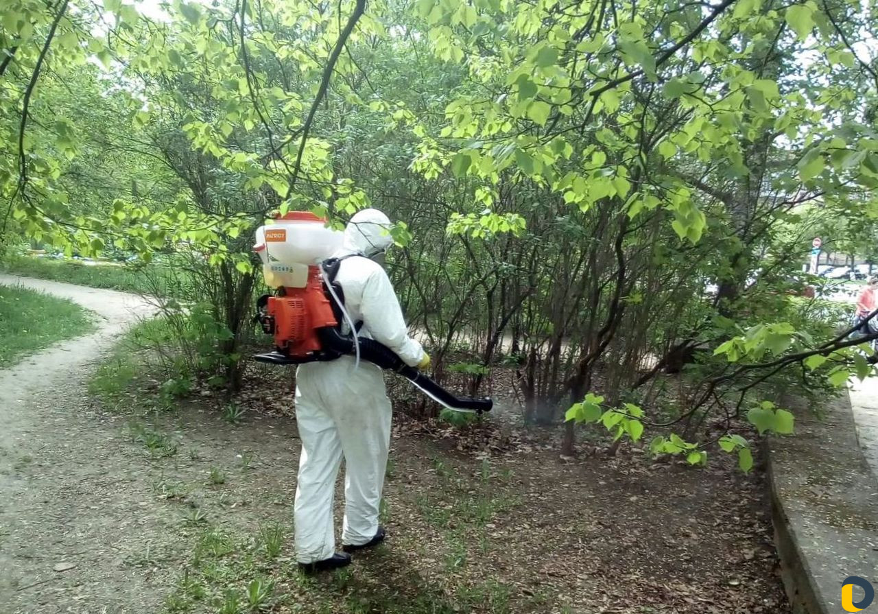 Уничтожение клещей, кротов, короеда, борщевика, ос