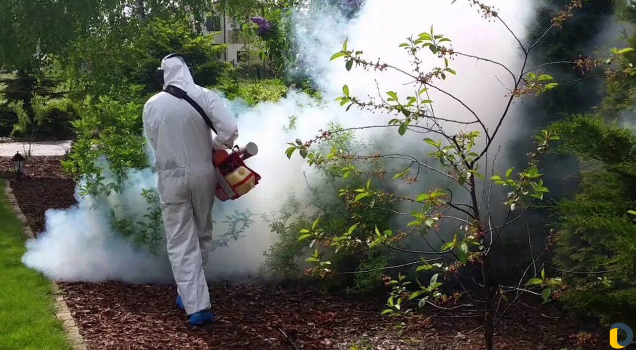 Уничтожение клещей, кротов, короеда, борщевика, ос