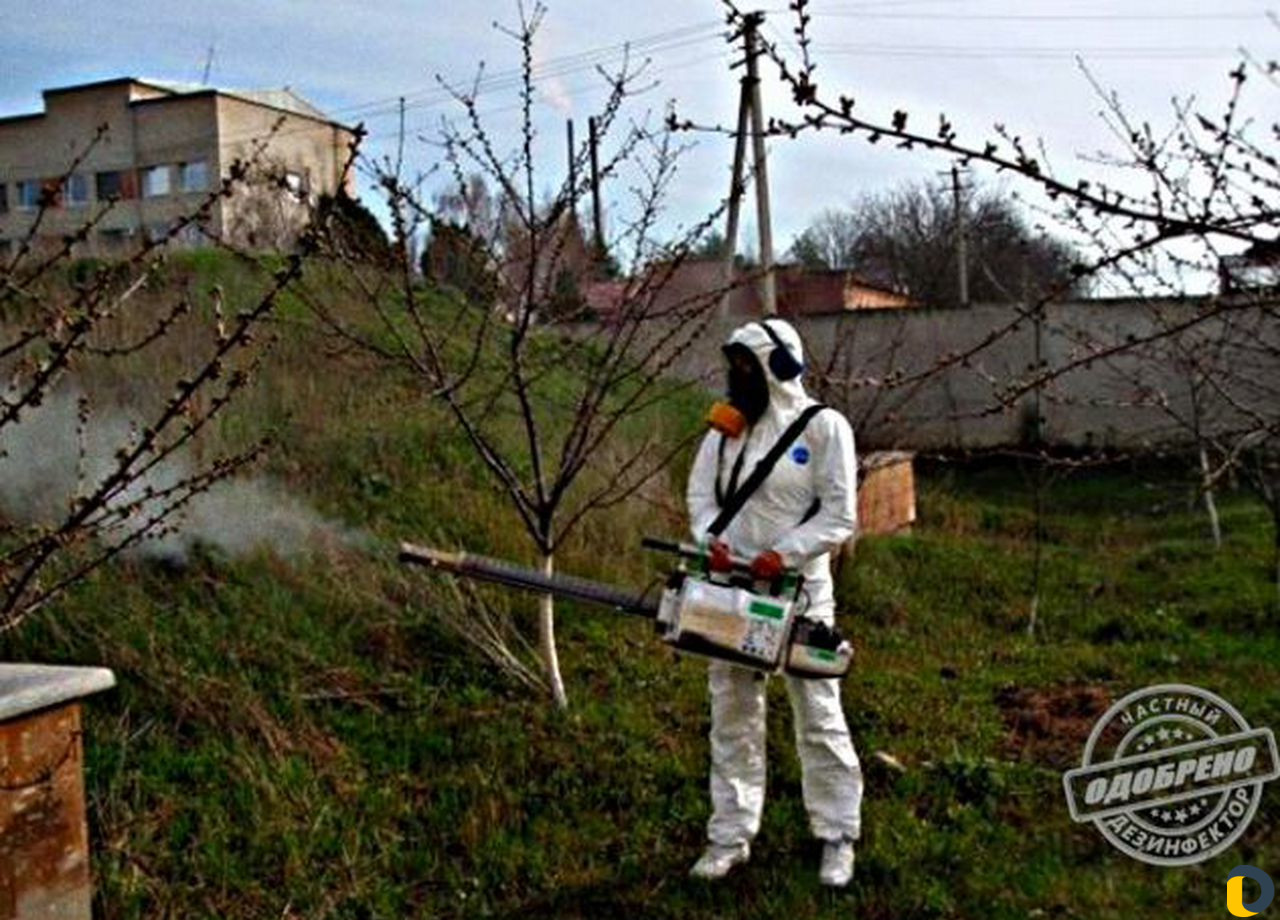 Уничтожение клещей, кротов, короеда, борщевика, ос