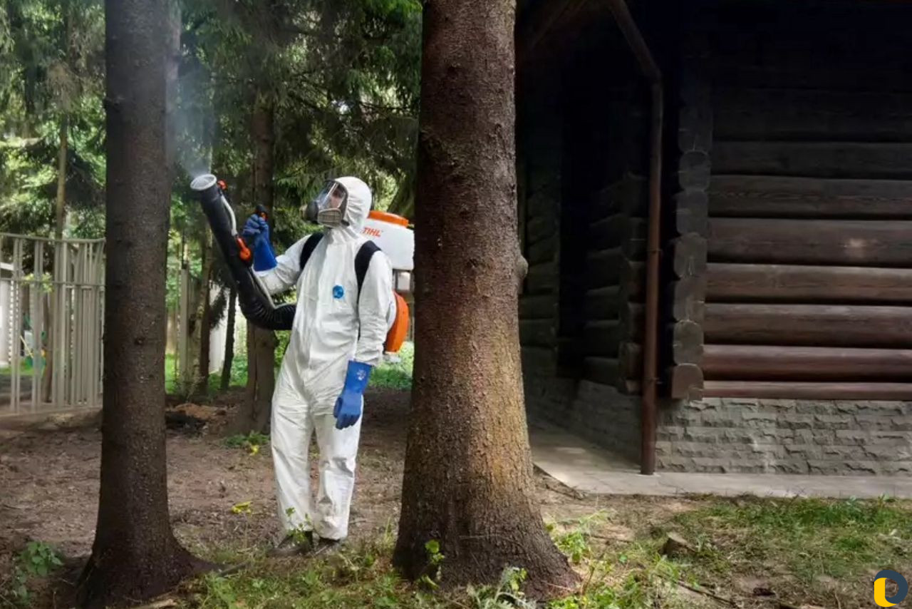 Уничтожение клещей, кротов, короеда, борщевика, ос