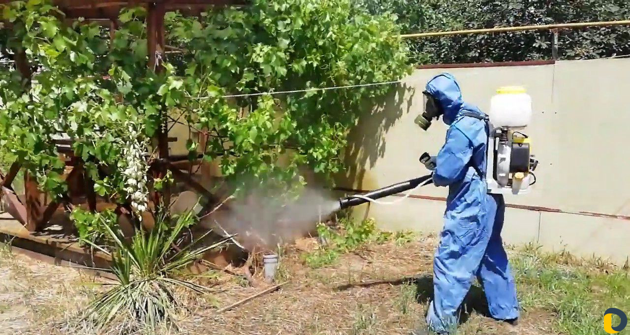 Уничтожение клещей, кротов, короеда, борщевика, ос