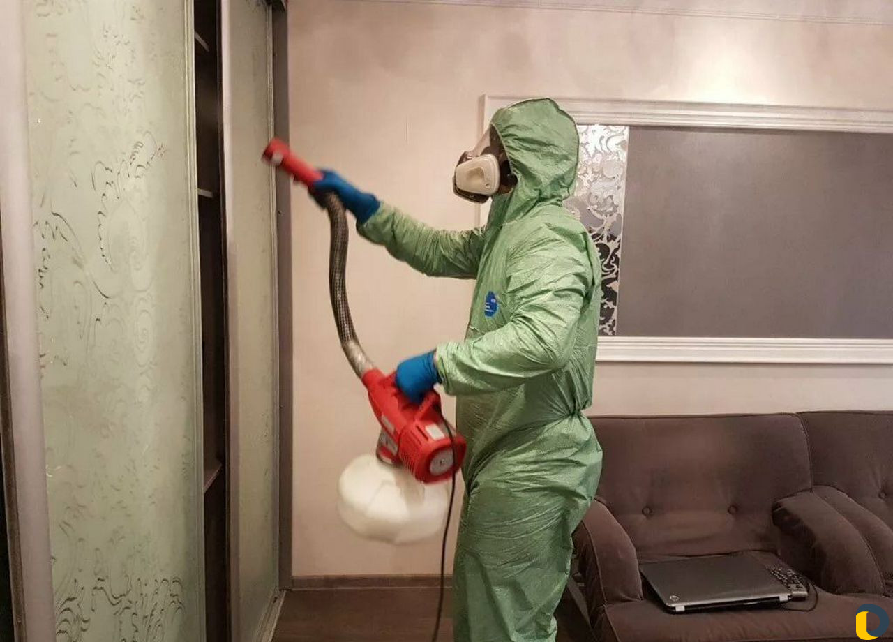 Уничтожение клопов клещей тараканов грызунов
