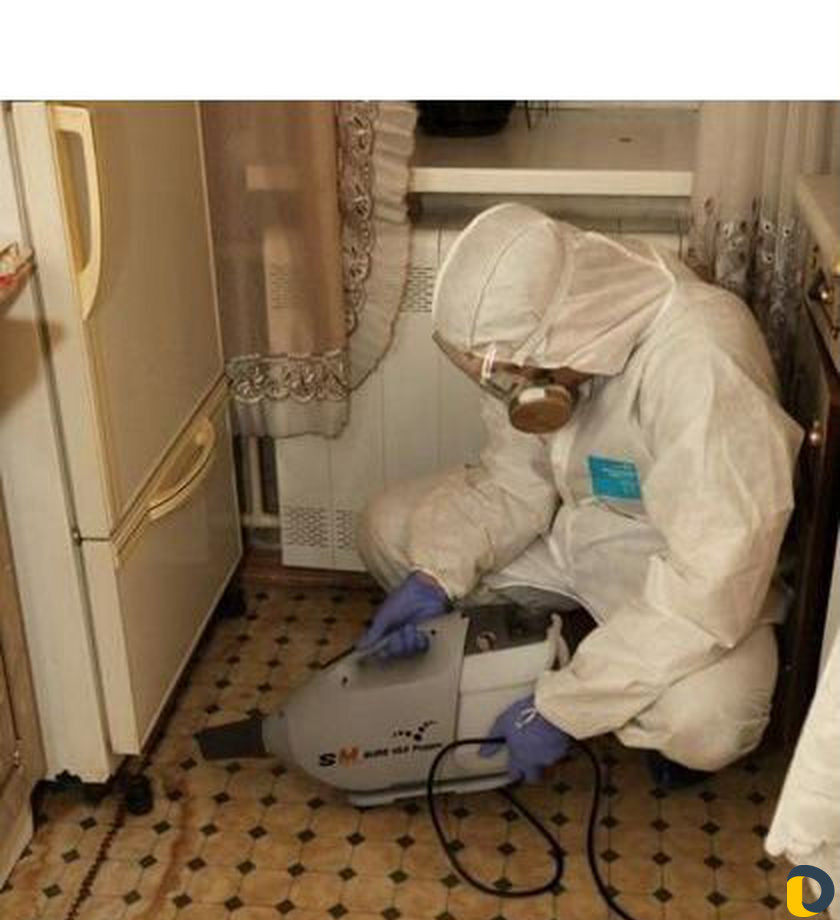 Уничтожение,клопов,мышей.мух,тараканов,муравьев