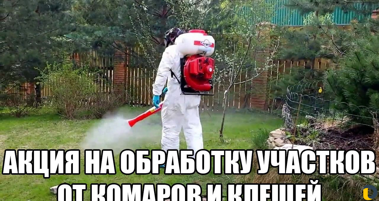 Уничтожение клопов тараканов блох клещей обработка