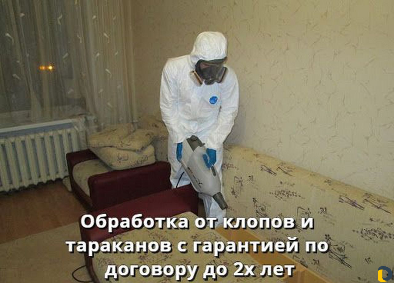 Уничтожение клопов тараканов блох клещей обработка