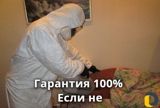 Уничтожение клопов тараканов блох клещей обработка
