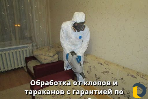 Уничтожение клопов тараканов блох обработка