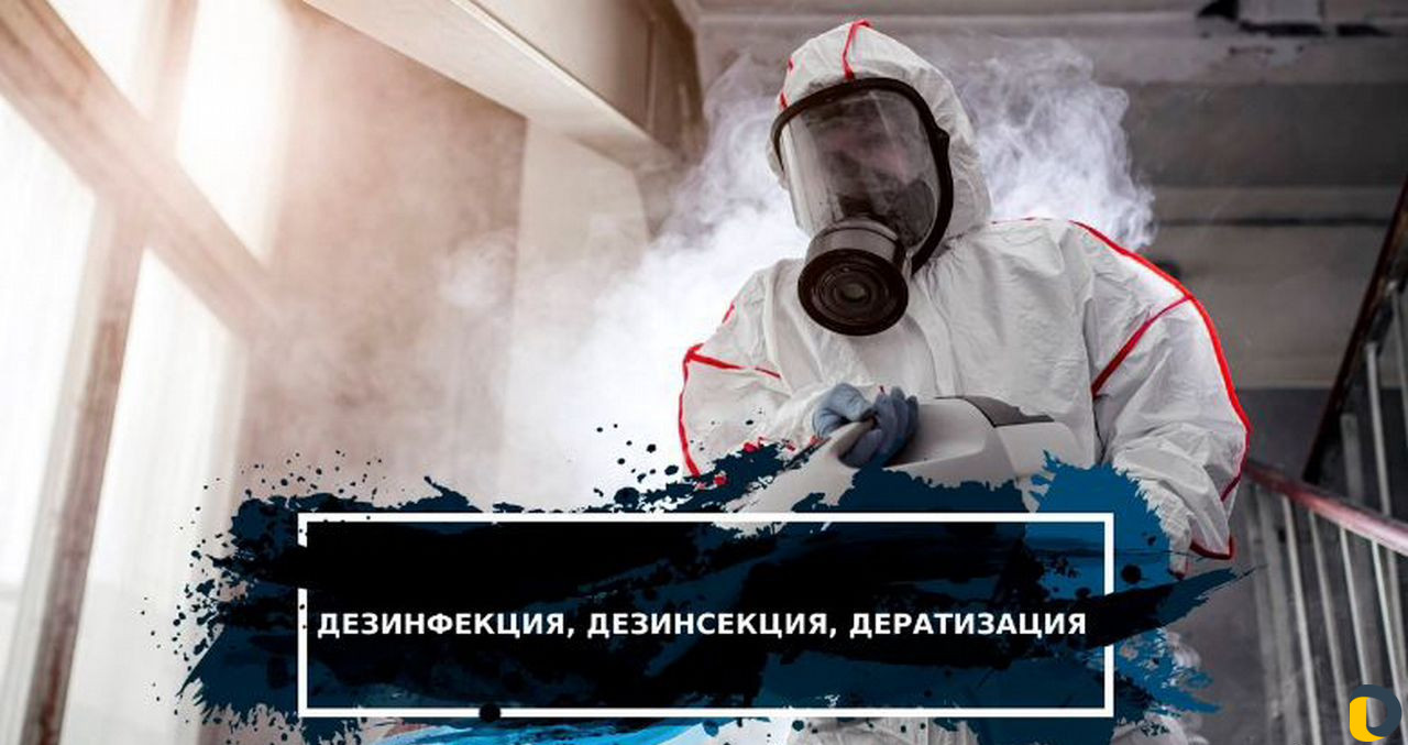 Уничтожение клопов, тараканов, грызунов