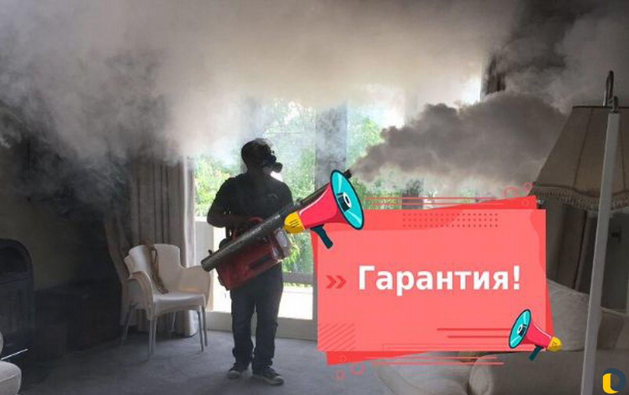 Уничтожение клопов, тараканов, грызунов