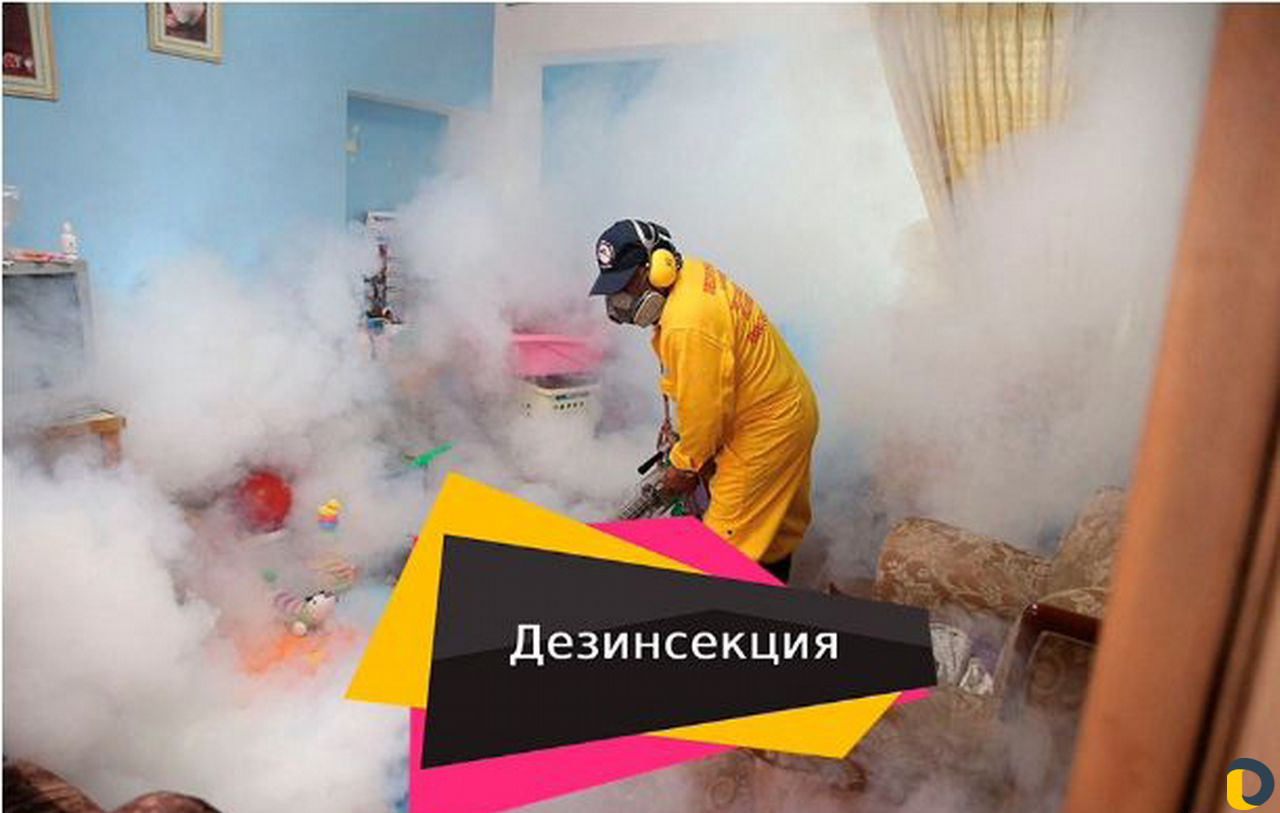 Уничтожение клопов, тараканов, грызунов