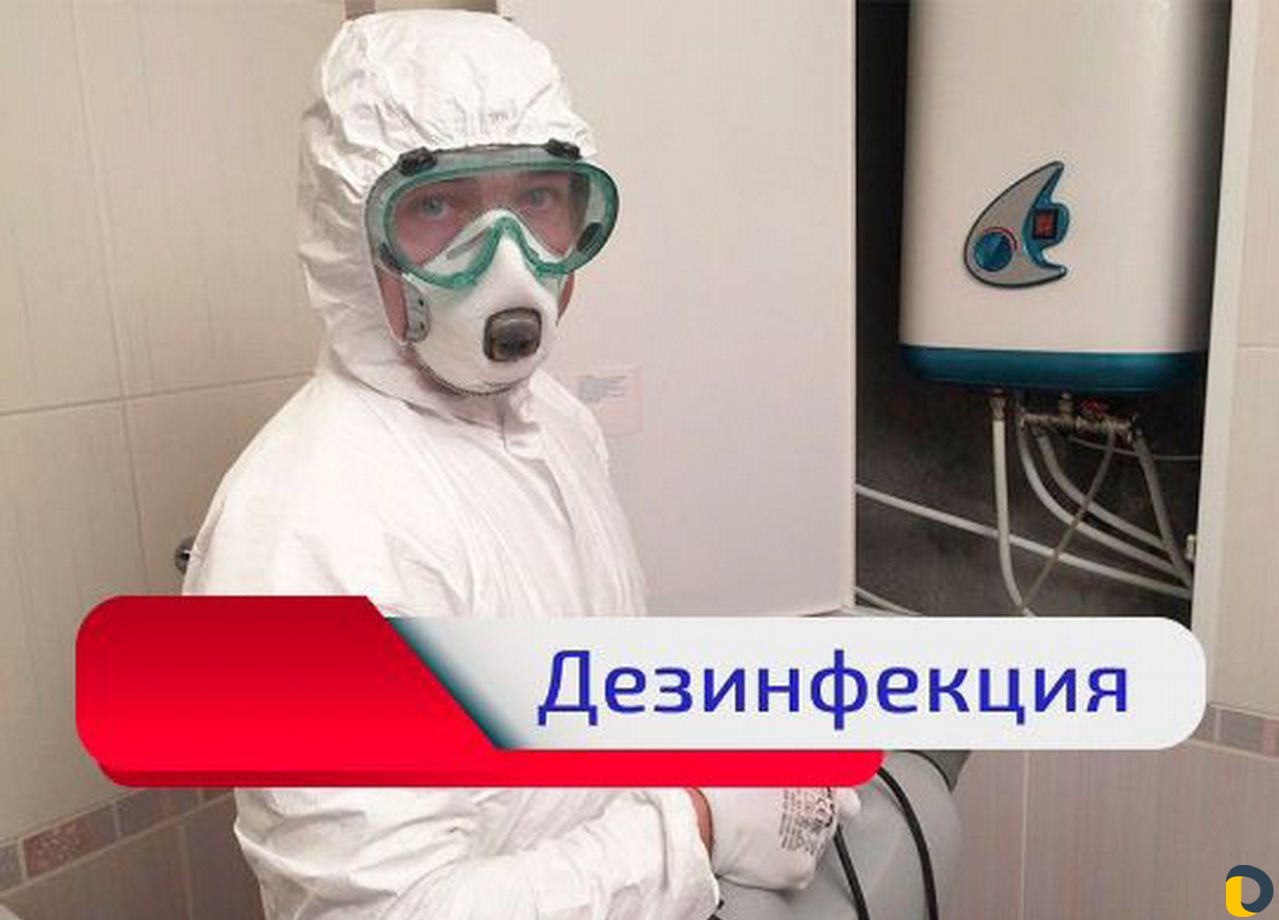 Уничтожение клопов, тараканов, грызунов