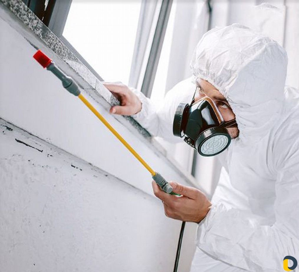 Уничтожение клопов, тараканов, грызунов