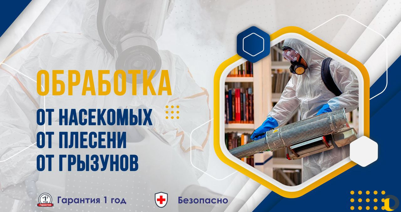 Уничтожение клопов, тараканов, грызунов