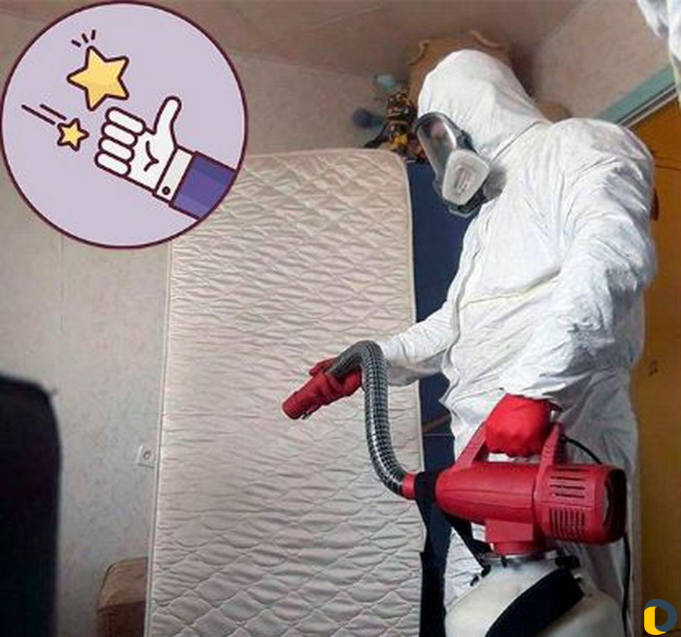 Уничтожение клопов, тараканов, грызунов