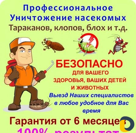 Уничтожение клопов тараканов клещей блох муравьёв