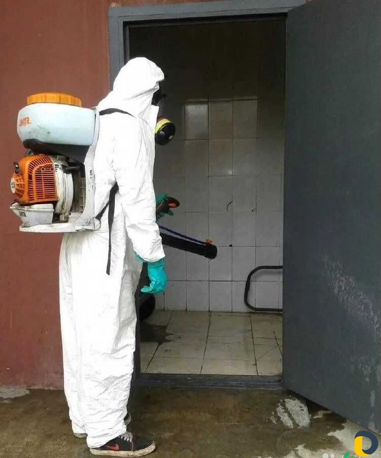 Уничтожение клопов тараканов клещей блох муравьёв