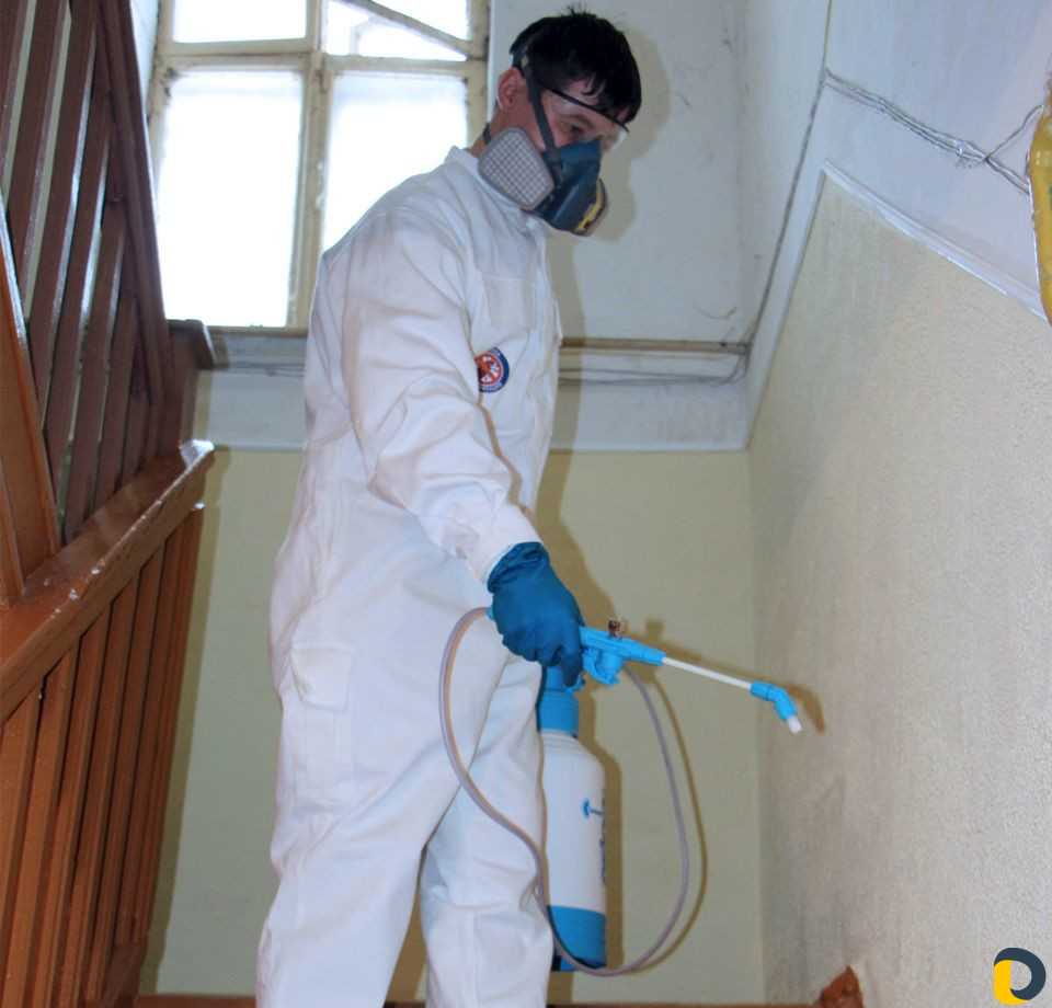 Уничтожение клопов тараканов клещей блох муравьёв