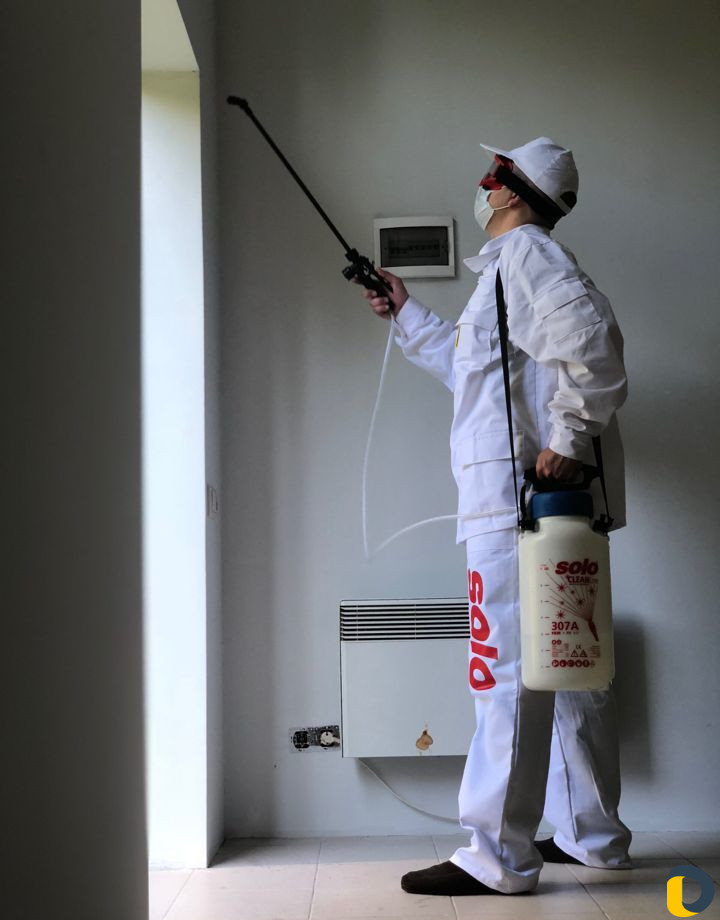 Уничтожение клопов тараканов клещей блох муравьёв