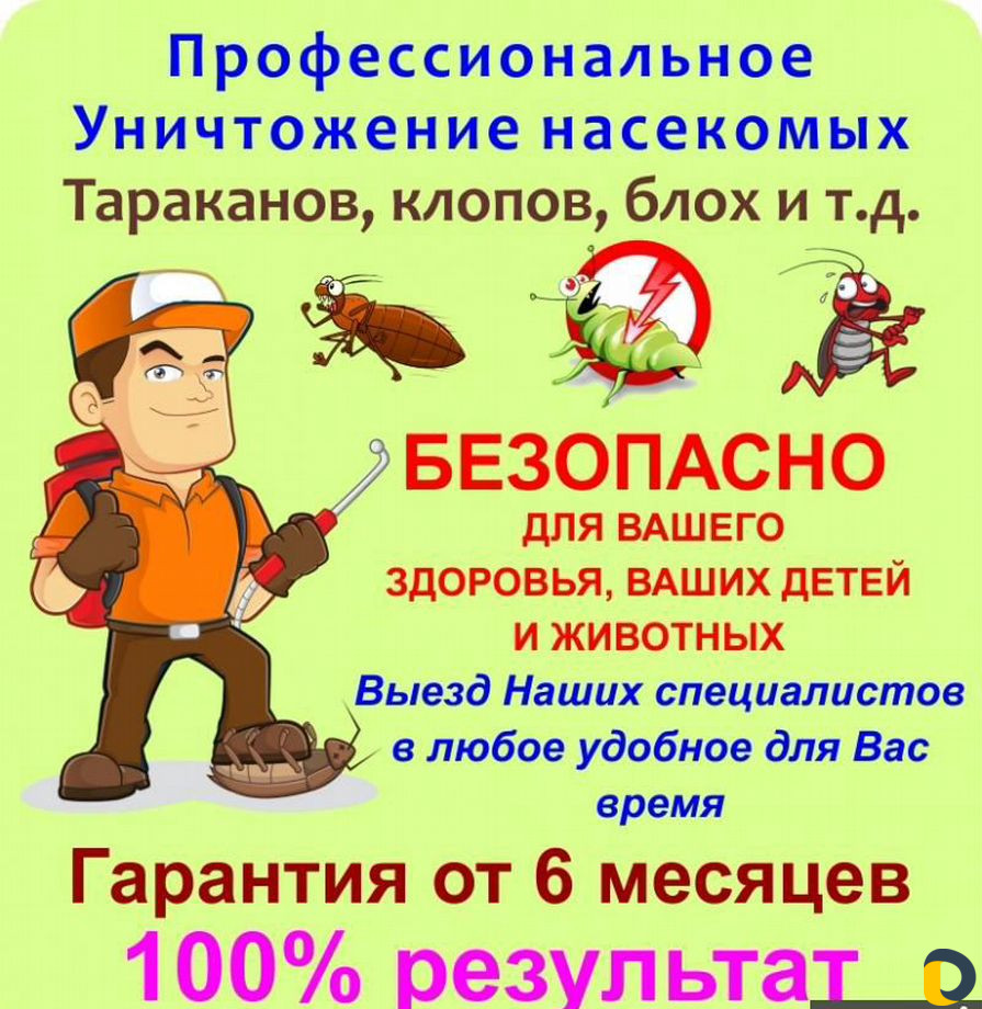 Уничтожение клопов тараканов клещей блох муравьёв